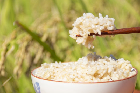 玄米が健康に良いと言われる理由とは？食べ続ける効果や白米との違いについて解説する