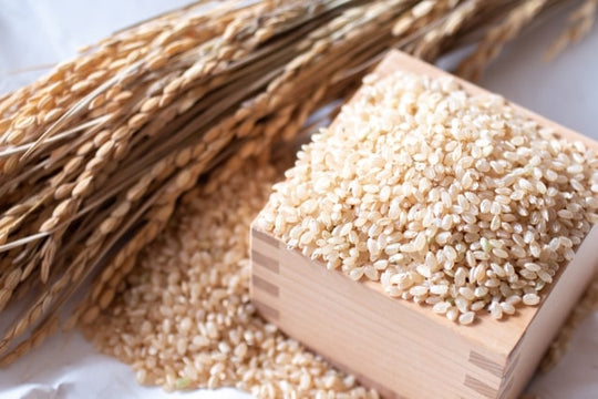 玄米100gのカロリーと糖質を白米と比較｜玄米ダイエットのコツや注意点も