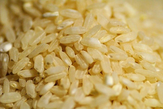 玄米と白米はどう違う？玄米とその他のお米の違いを徹底解説