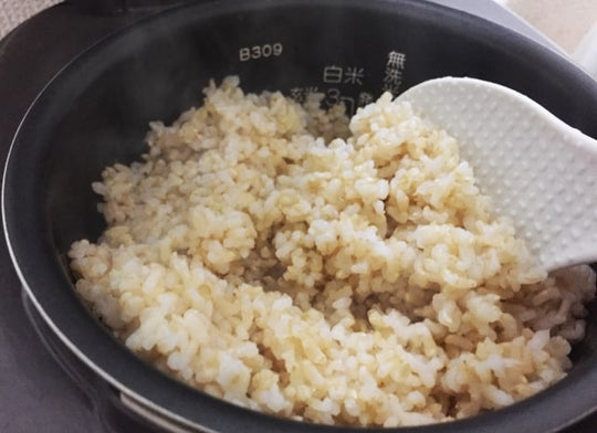 玄米の美味しい炊き方とは？保存方法やレシピについて解説