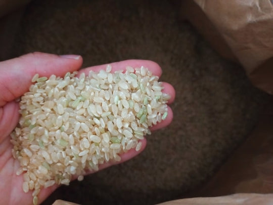 玄米を食べ続けるとどうなるのか？そのメリットや効果的な食べ方を紹介